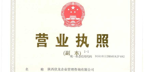 陜西伏龍企業管理咨詢 賦能企業，驅動增長